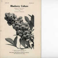          Blueberry Culture:C229 picture number 1
   