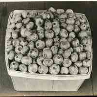 7/19/1916 "D42 Wash Field"