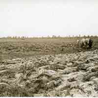 7/10/1914 "Union Field with Horse-Drawn Cart"