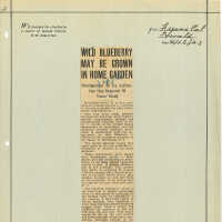 Newspaper Clipping
