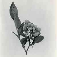          1919 