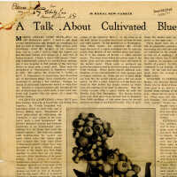 A Talk About Cultivated Blueberries