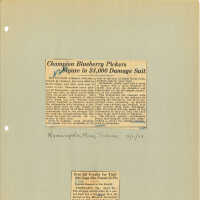 Newspaper Clippings