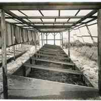 7/29/1914 "Blueberry propagating frame with covers removed for photographing"