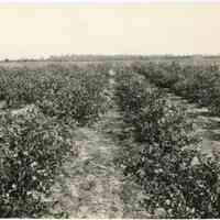 7/6/1919 "1206"