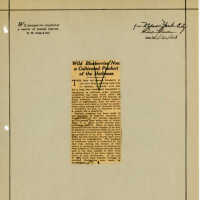 Newspaper Clipping