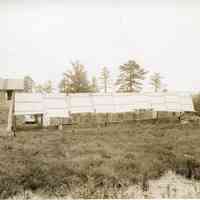 7/10/1914 "Shaded raised nursery beds"