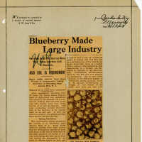 False Blueberry Advertising