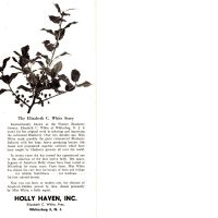          Holly Haven, Inc. Catalog picture number 1
   