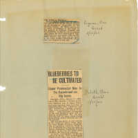Newspaper Clippings