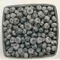 8/3/1917 "Quart of Sooy x Brooks berries"