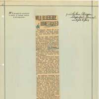 Newspaper Clipping