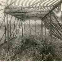 7/19/1916 "Shelter of budded planks"