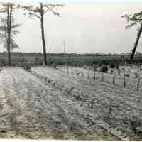 5/12/1915 "Row 23, Haines no. 12"