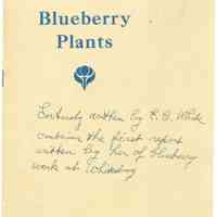          Blueberry Plants picture number 1
   