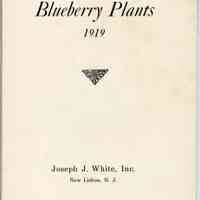          Blueberry Plants picture number 2
   