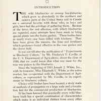          Blueberry Plants picture number 4
   