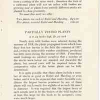          Blueberry Plants picture number 8
   