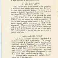          Blueberry Plants picture number 9
   