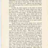          Blueberry Plants picture number 13
   