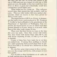          Blueberry Plants picture number 14
   