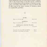          Blueberry Plants picture number 15
   