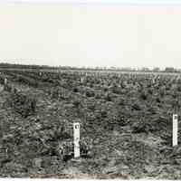 5/13/1915 "Washington Field"