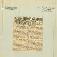 Newspaper Clipping