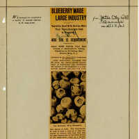          False Blueberry Advertising picture number 1
   