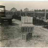 7/18/1918 "Blueberries in crates"