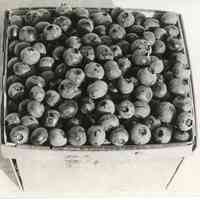 7/29/1914 "Rube Leek in box"