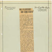 Newspaper Clipping