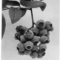 7/22/1913 "With letter of July 28, 1913"