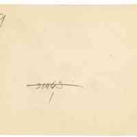          11/1916 Chopped branches picture number 2
   