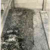 7/30/1914 "S Feuerman ... Brand weed to guage depth of covering cuttings"