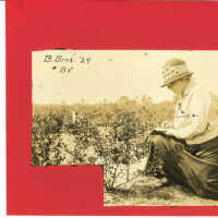 Elizabeth White Making Notes in Blueberry Field