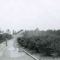 Tony Petrillo on Telephone Line