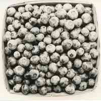 7/19/1917 "Box of berries from Washington Field"