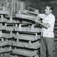 Man in front of stacked blueberry baskets