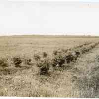          7/10/1914 picture number 1
   