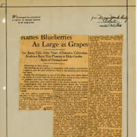 Newspaper Clipping