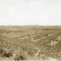          7/10/1914 picture number 1
   