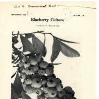 Blueberry Culture: C170