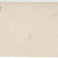          11/1916 A collection of wild berry branches picture number 2
   