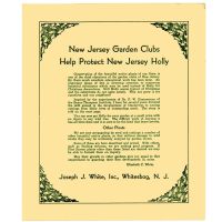          New Jersey Garden Clubs Help Protect New Jersey Holly picture number 1
   