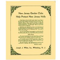 New Jersey Garden Clubs Help Protect New Jersey Holly