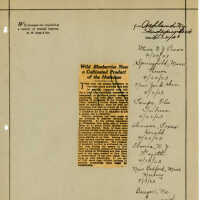 Newspaper Clipping