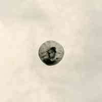 8/3/1917 "Berry from bush aa 102"