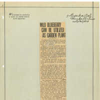Newspaper Clipping