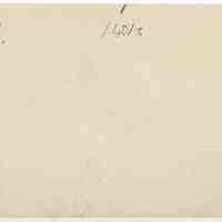          11/1916 Collection of branches in front of a sheet picture number 2
   